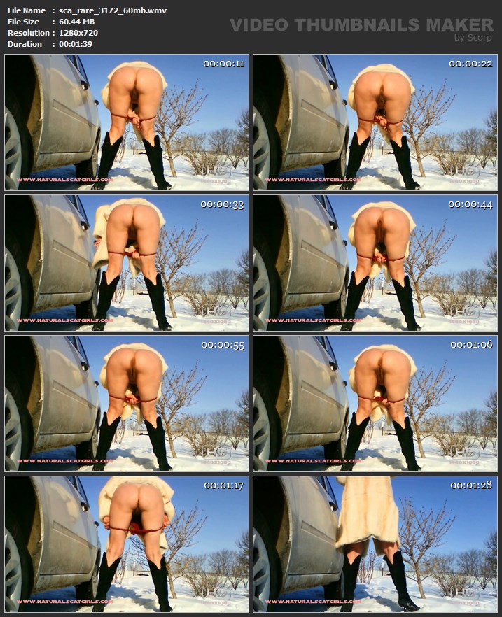 sca_rare_3172_60mb.wmv.jpg