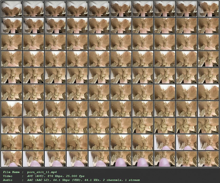 porn_shit_11.jpg