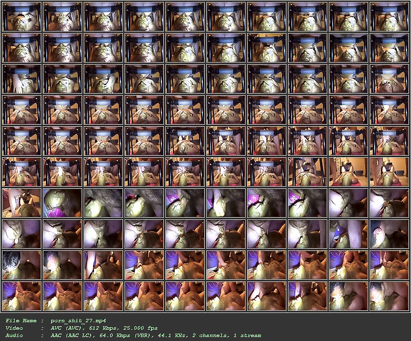 porn_shit_27.jpg